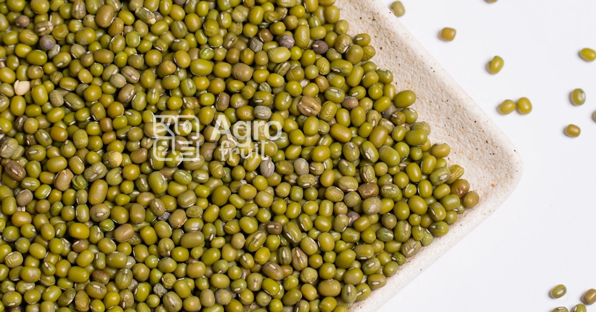 Green Mung Beans Wholesale from the Manufacturer — A Natural Source of Protein and Nutrition from Uzbekistan