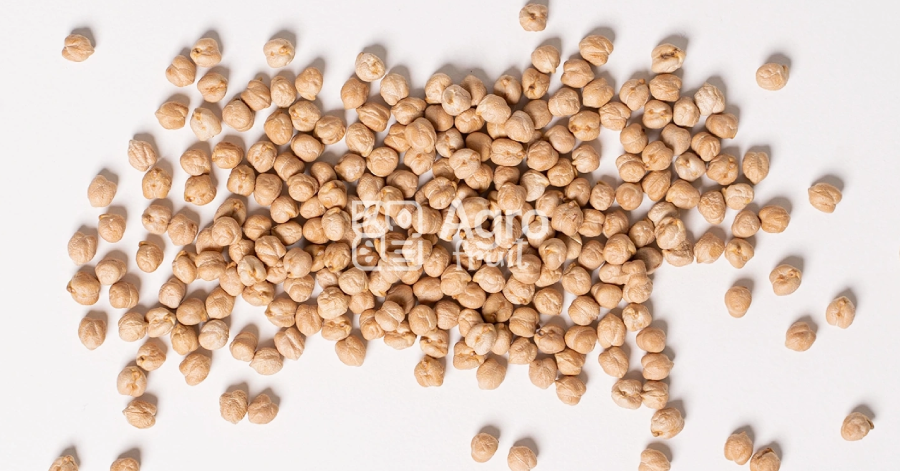 Chickpeas Wholesale from the Manufacturer — A Rich Source of Plant-Based Protein and Fiber
