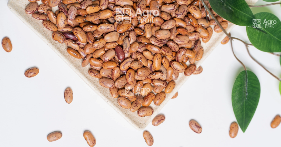 Yellow Beans Wholesale from the Manufacturer — High-Quality Legumes from Uzbekistan