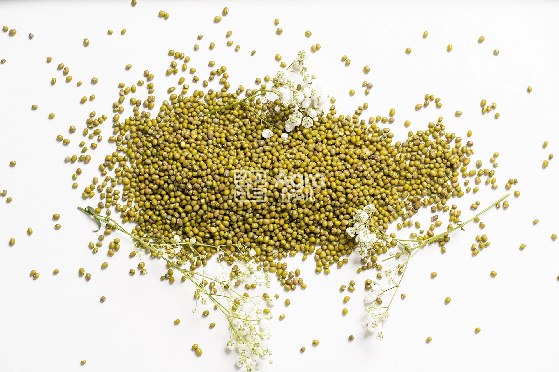 Green Mung Beans