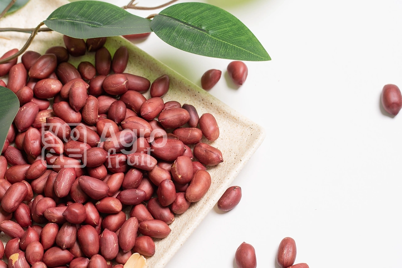 Peanut Kernels