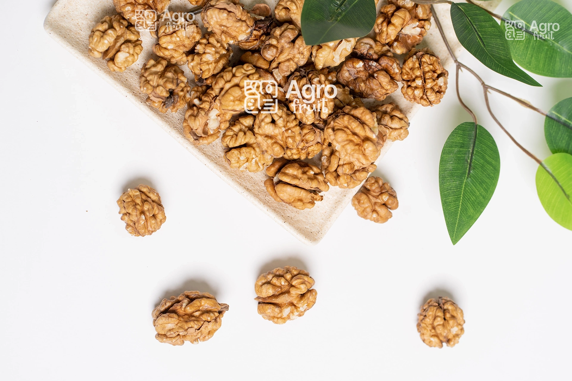 Walnut Kernels