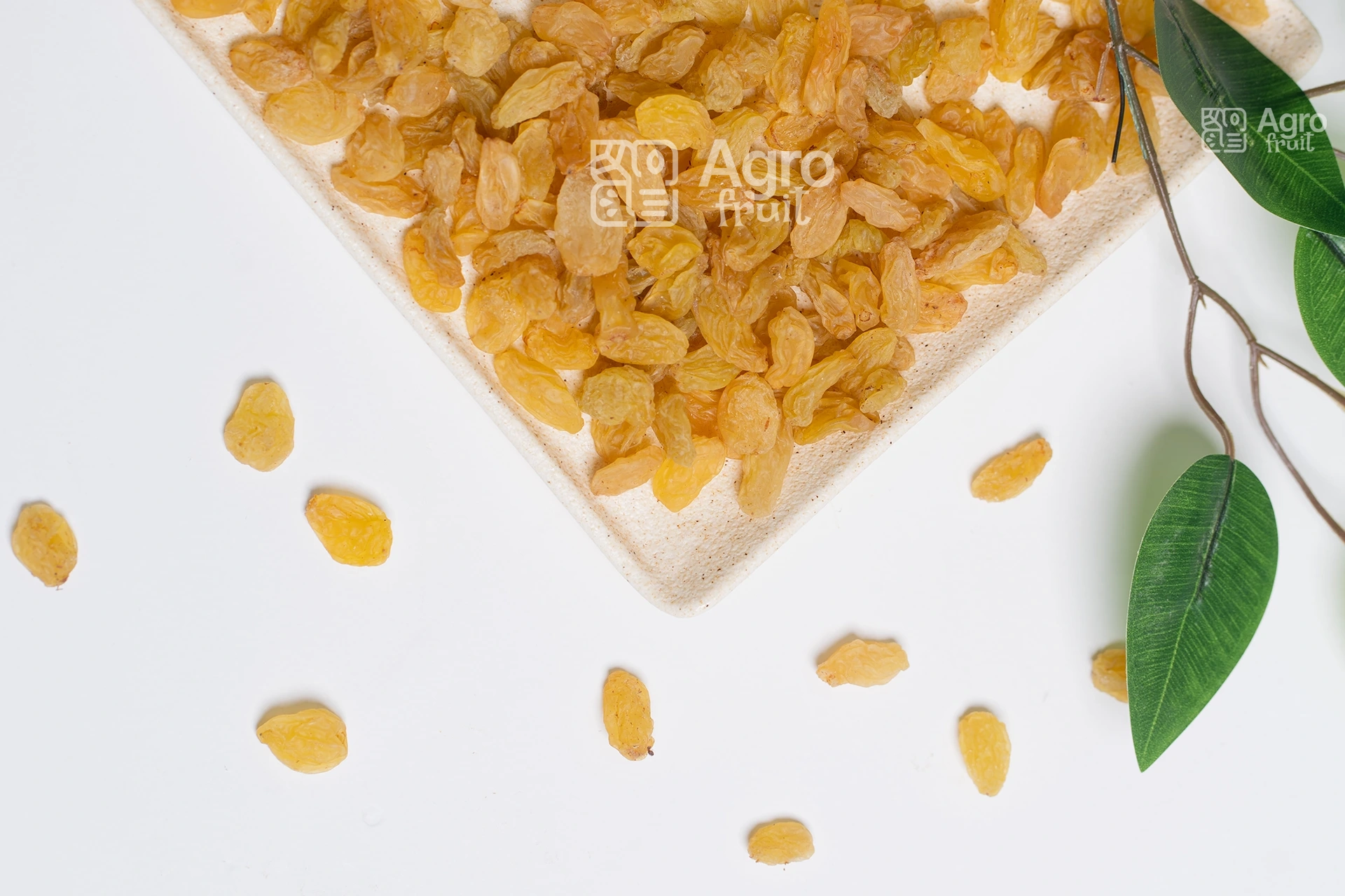 Golden Raisins