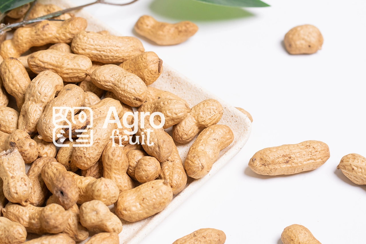 Peanuts in Shell