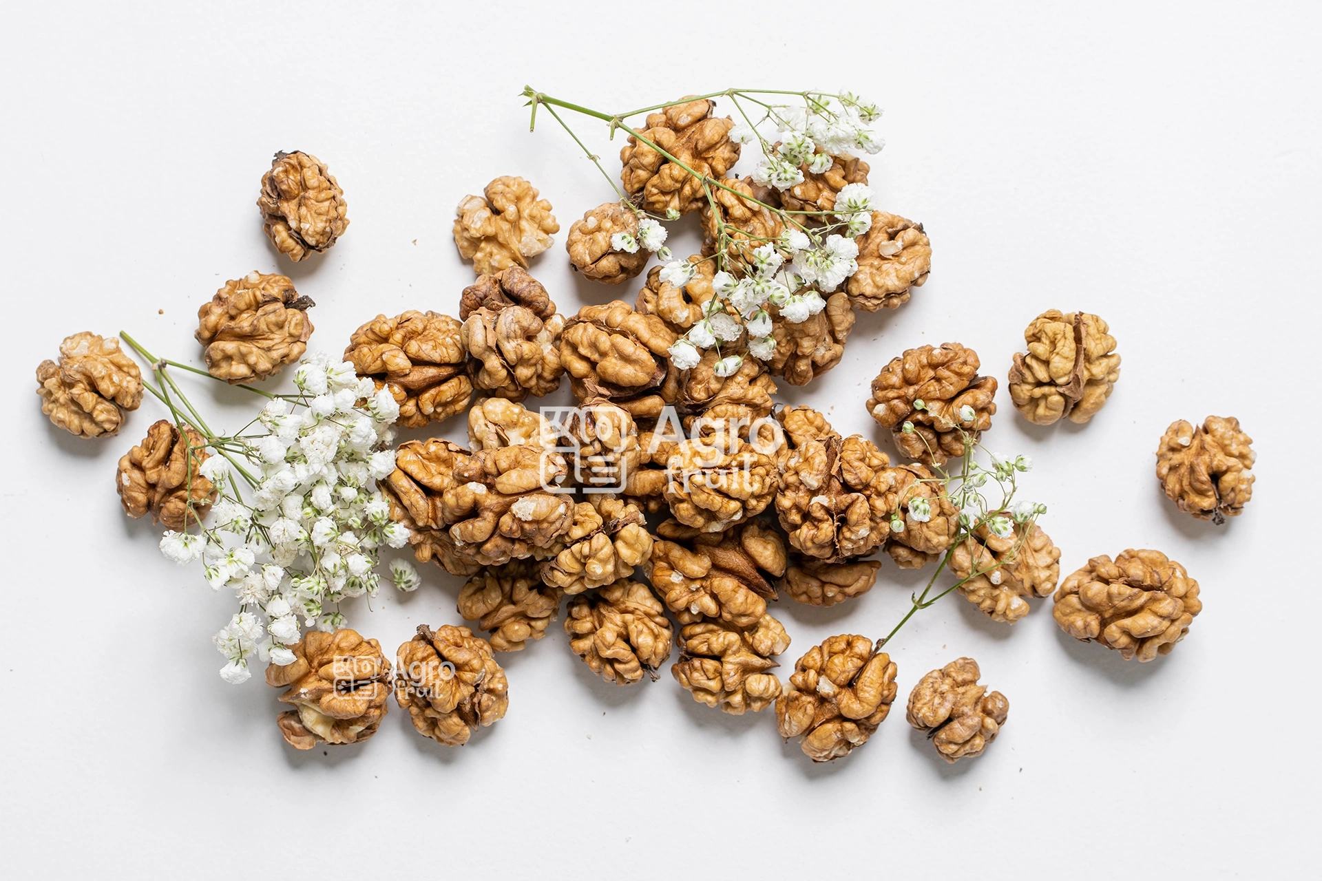 Walnut Kernels